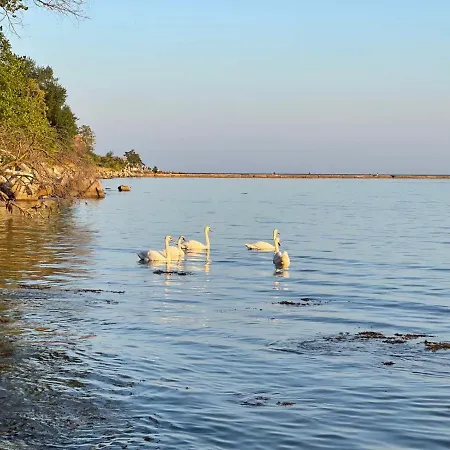 Sea Sky View Apartmán