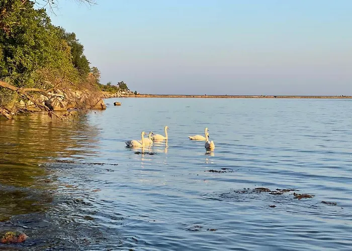 Sea Sky View Apartament